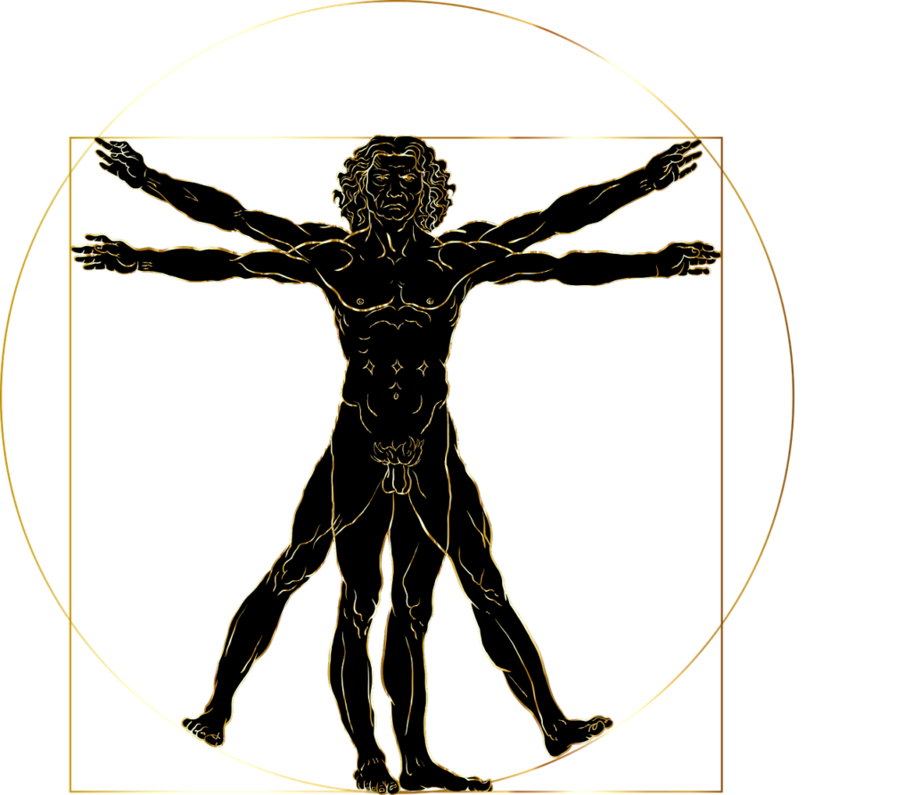 vitruvian man, leonardo da vinci, renaissance-4995947.jpg