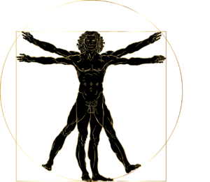 vitruvian man, leonardo da vinci, renaissance-4995947.jpg