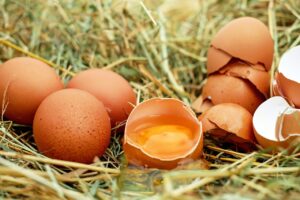 eggs, chicken eggs, raw eggs-1510449.jpg